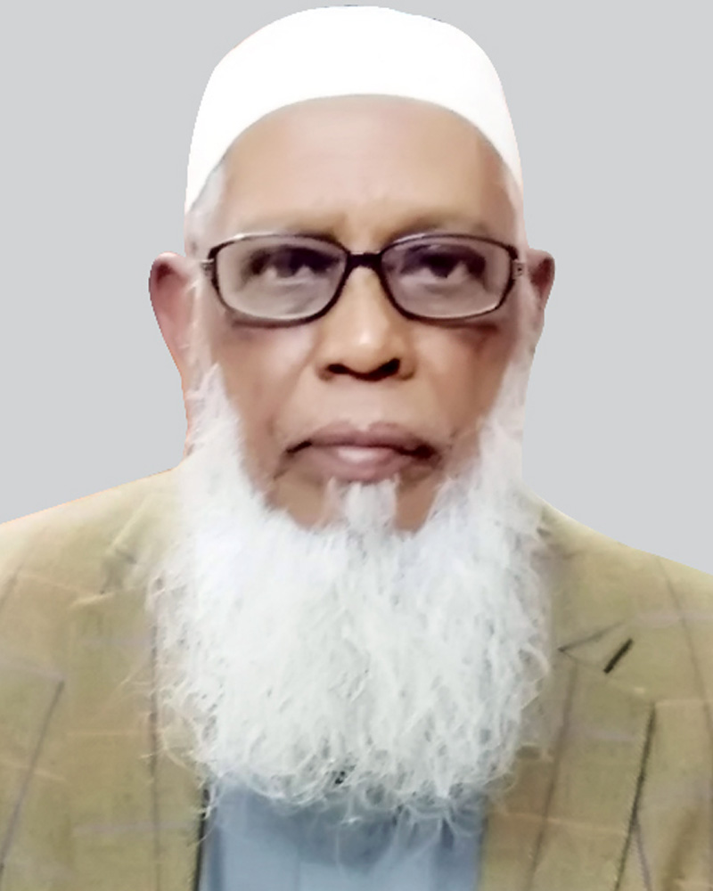 Professor A K M Shamsul Alam